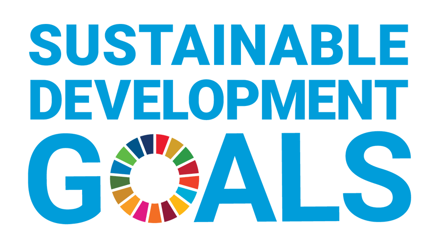 SDg logo